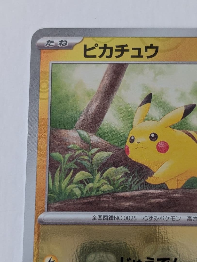 ピカチュウ マスターボールミラー