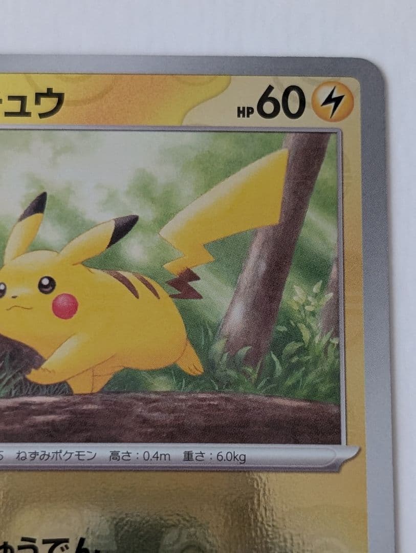 ピカチュウ マスターボールミラー