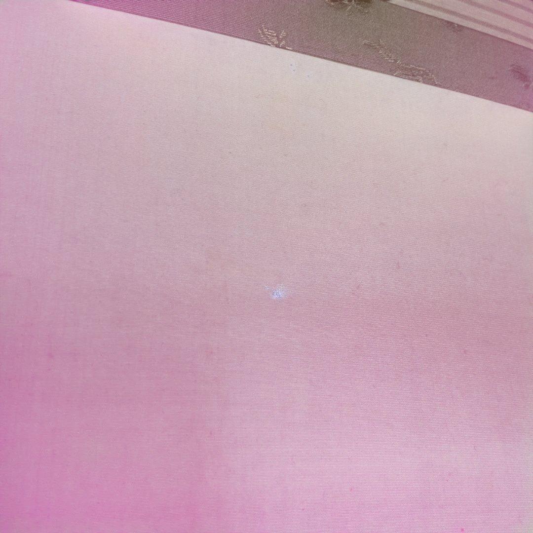 伊藤小坡　深春　掛軸