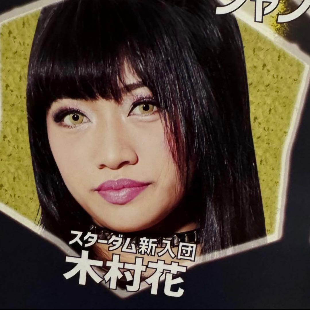 貴重品✨スターダム 2019年4月 ポスター 女子プロレス STARDOM
