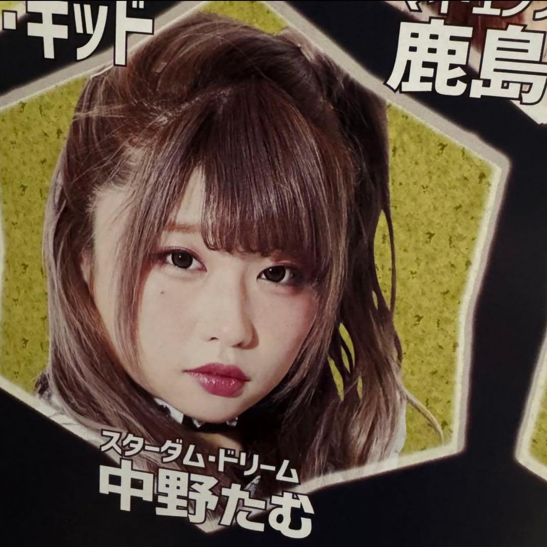 貴重品✨スターダム 2019年4月 ポスター 女子プロレス STARDOM