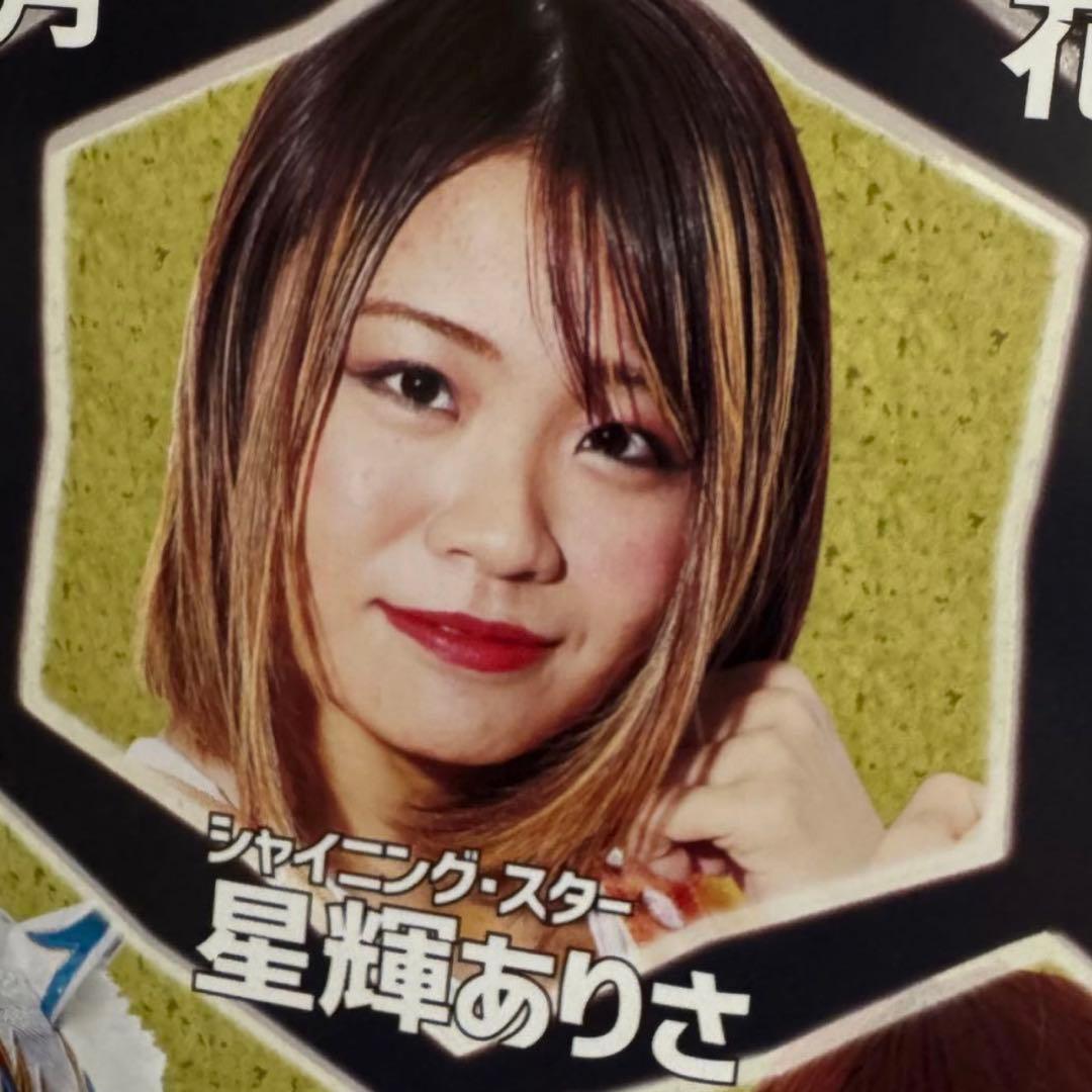 貴重品✨スターダム 2019年4月 ポスター 女子プロレス STARDOM