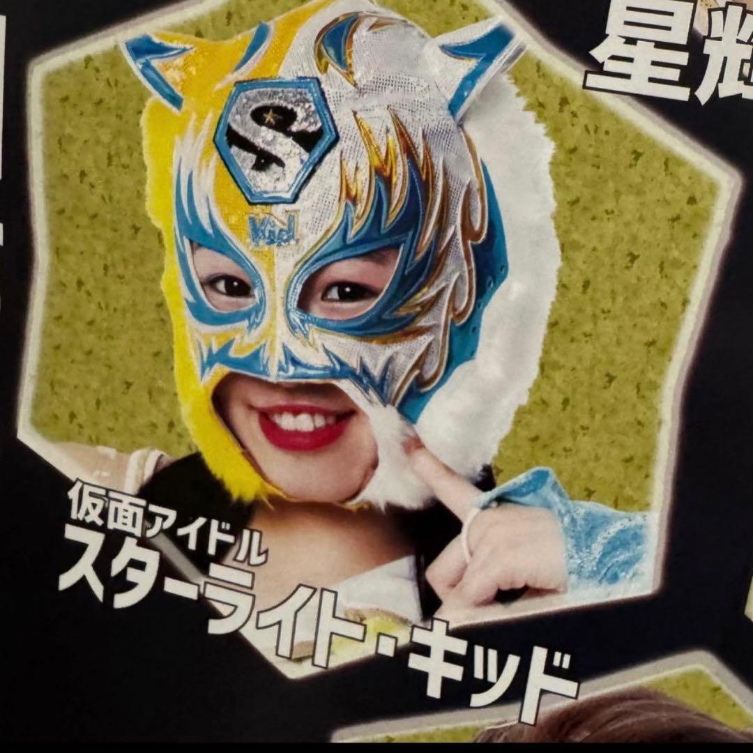 貴重品✨スターダム 2019年4月 ポスター 女子プロレス STARDOM