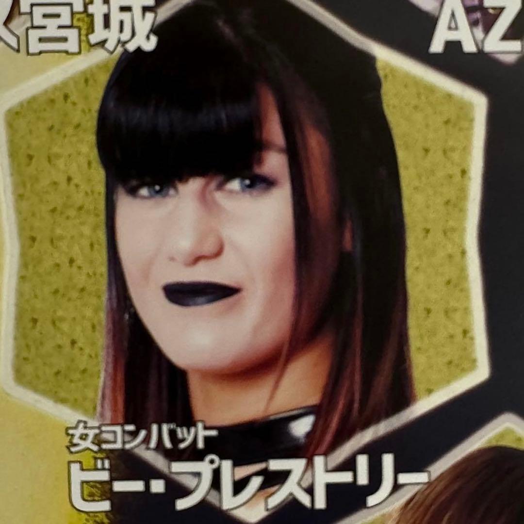 貴重品✨スターダム 2019年4月 ポスター 女子プロレス STARDOM