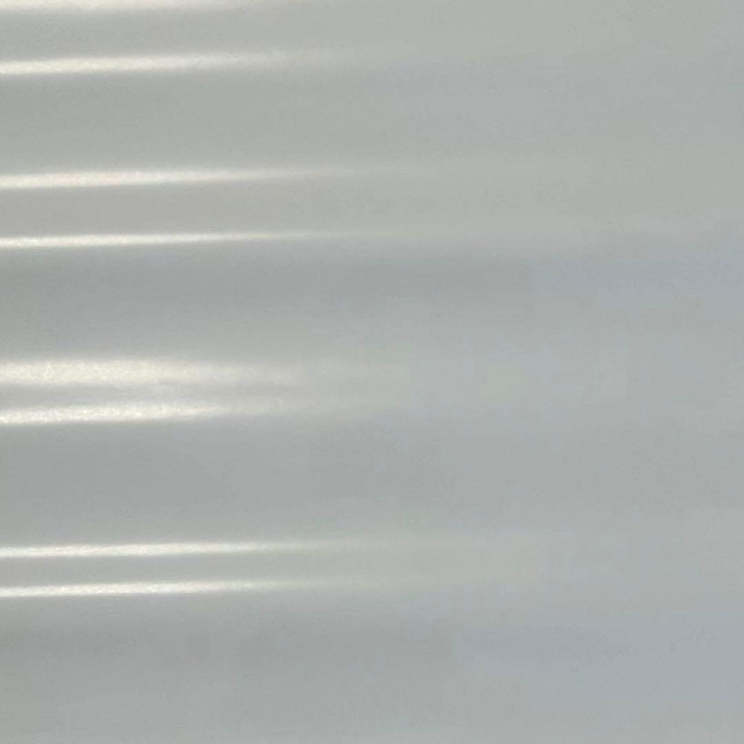 貴重品✨スターダム 2019年4月 ポスター 女子プロレス STARDOM