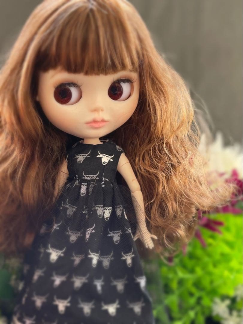 カスタム　アイシードール