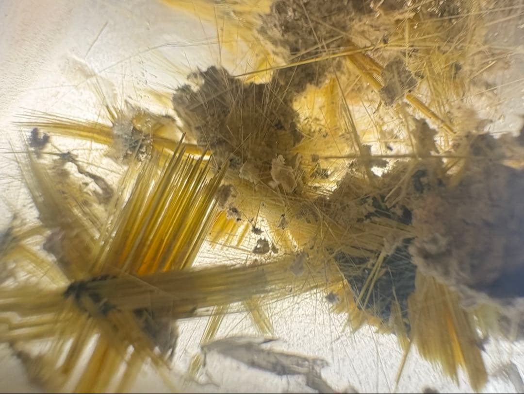 ✨天然ルチルクォーツ 原石 ポリッシュ 標本✨