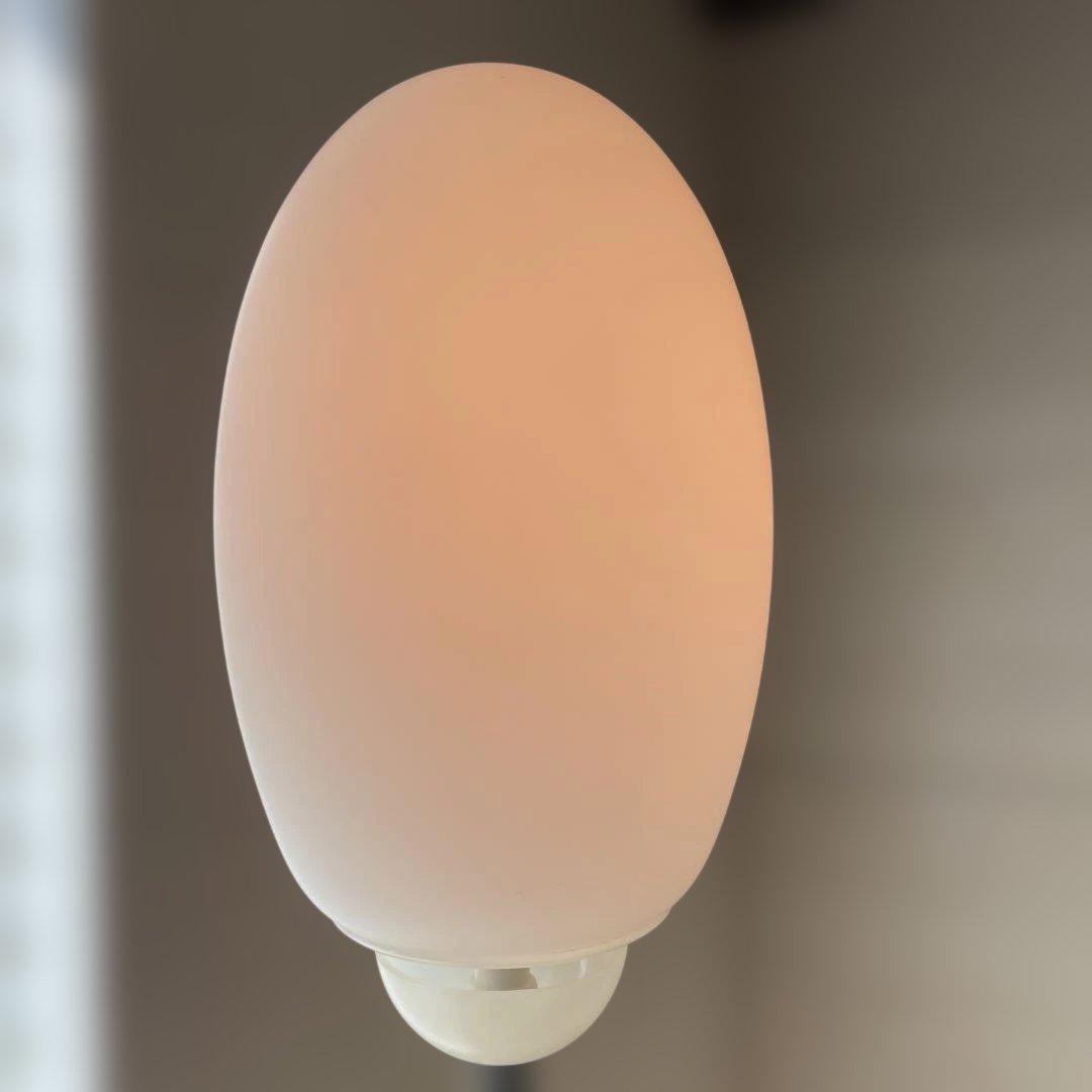 FLOS フロアランプ