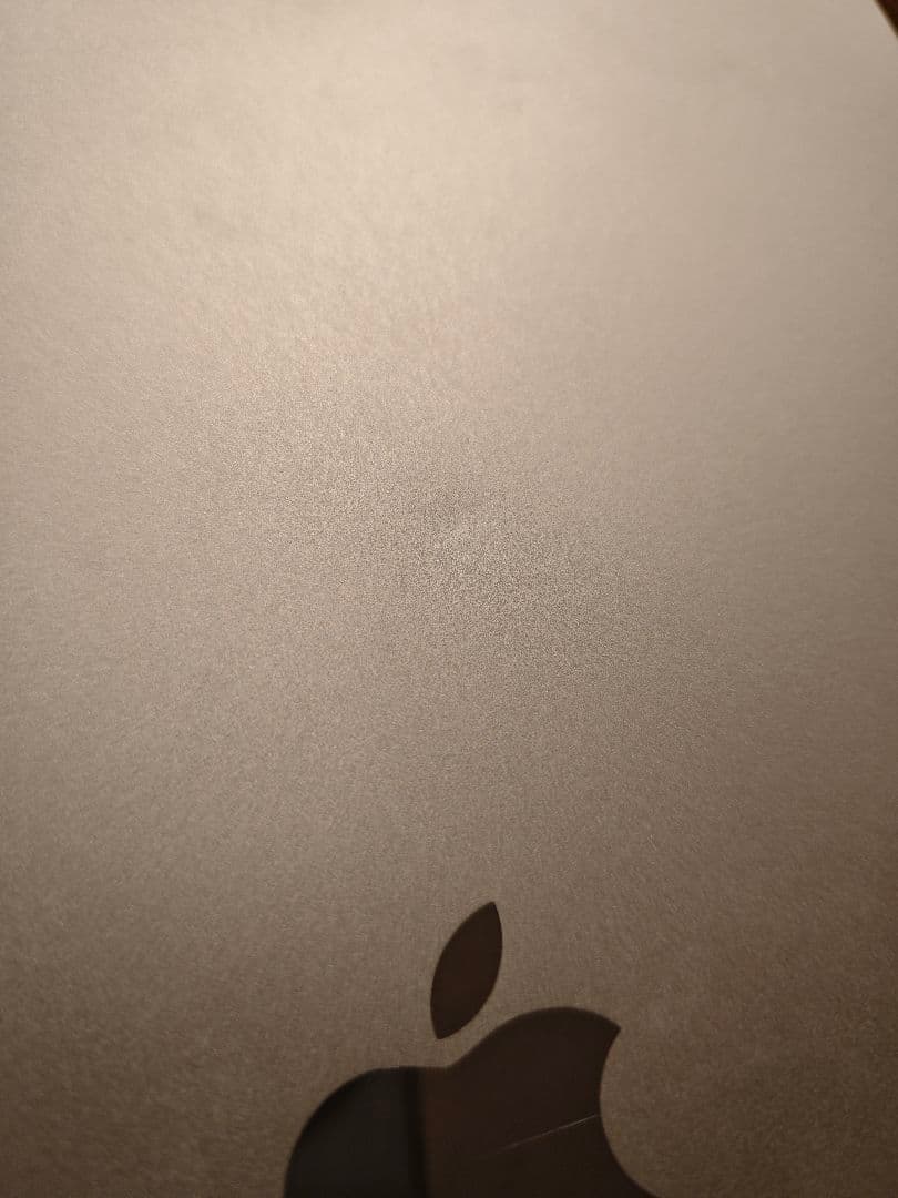 Apple iPad Pro 11インチ 第3世代 M1 128GB