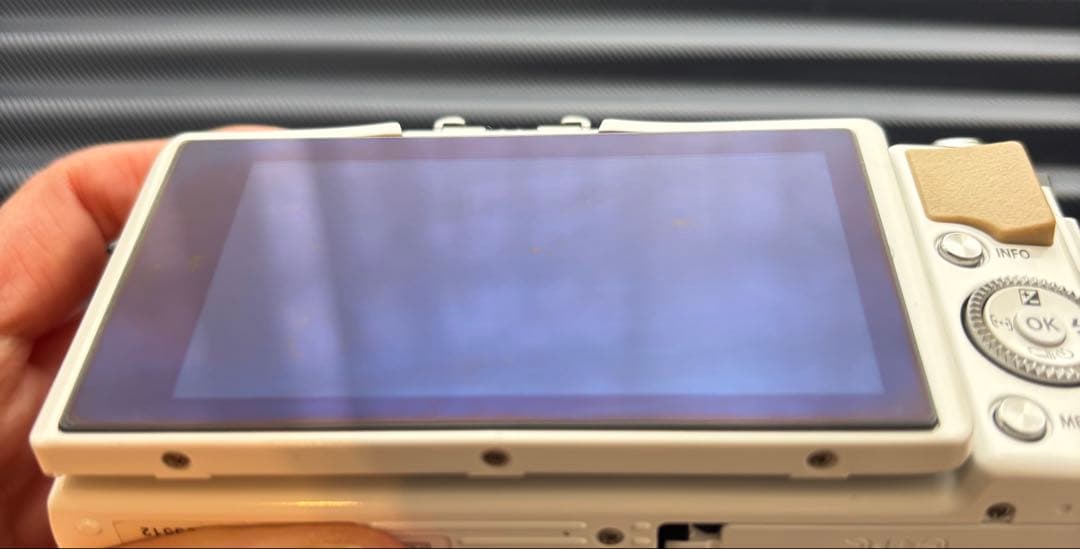 ミラーレス一眼Olympus PEN Lite E-PL5