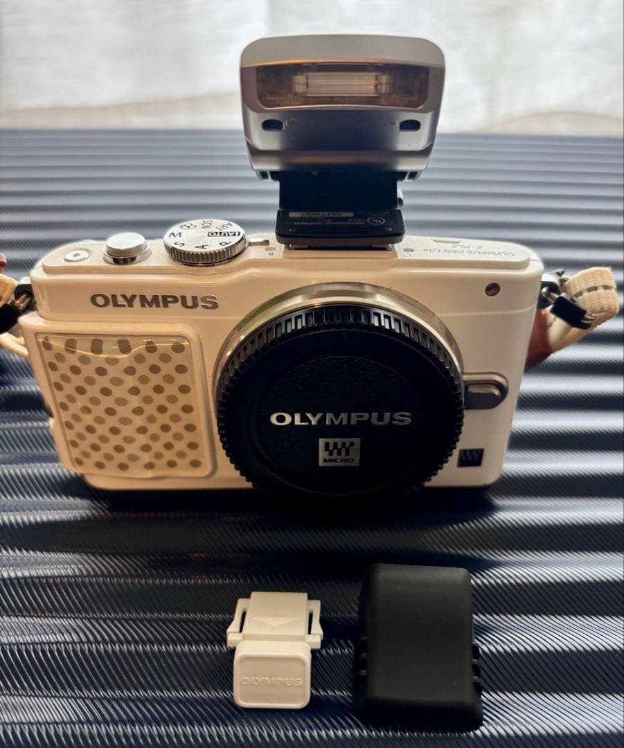 ミラーレス一眼Olympus PEN Lite E-PL5