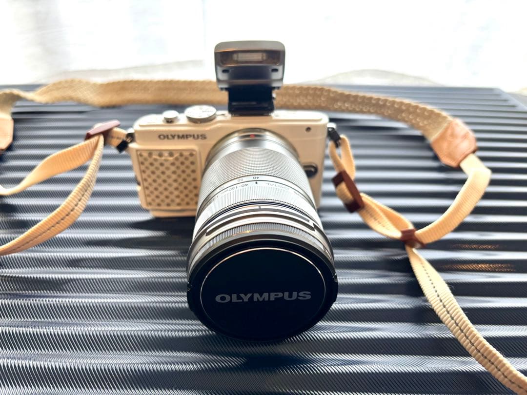 ミラーレス一眼Olympus PEN Lite E-PL5