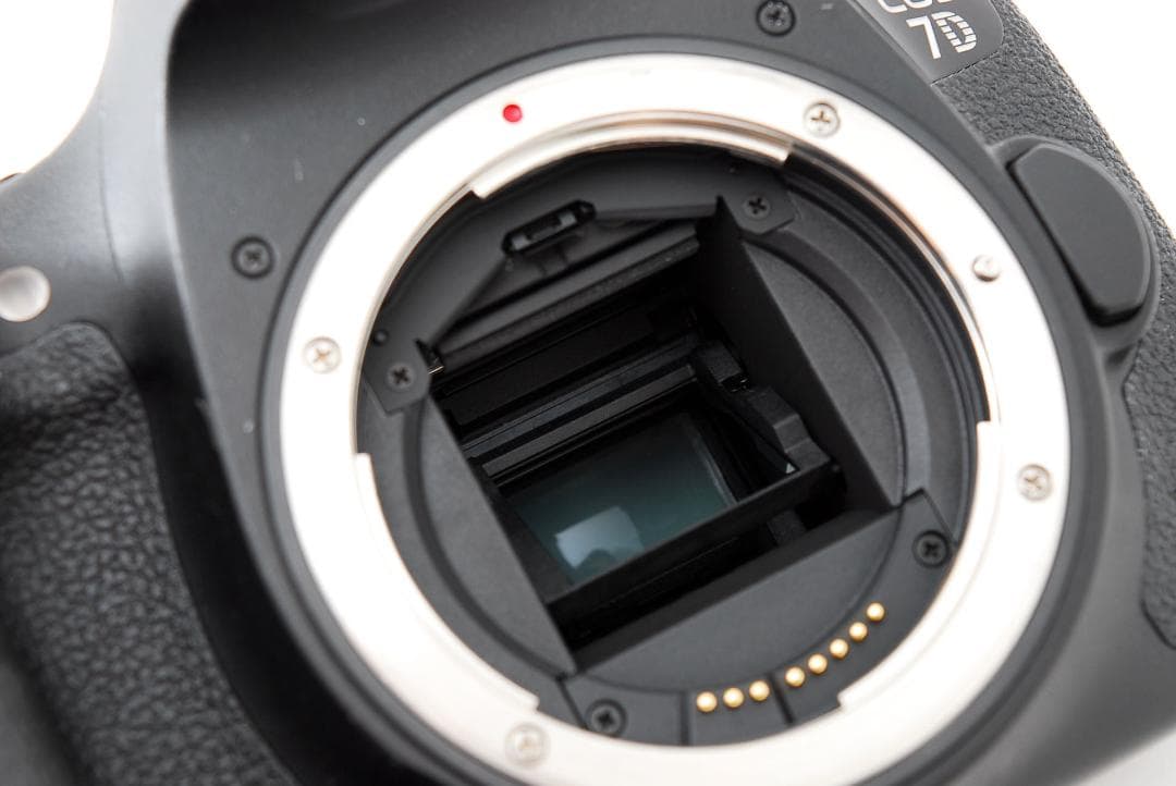 Canon EOS 7D Mark II 20.2MP デジタル一眼レフ ボディ