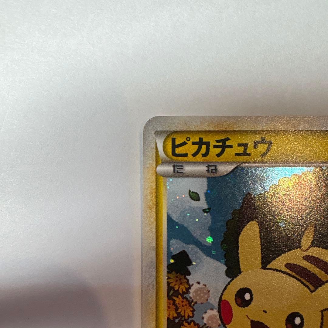ピカチュウ PROMO 019/L-P ピカチュウだいすきクラブ