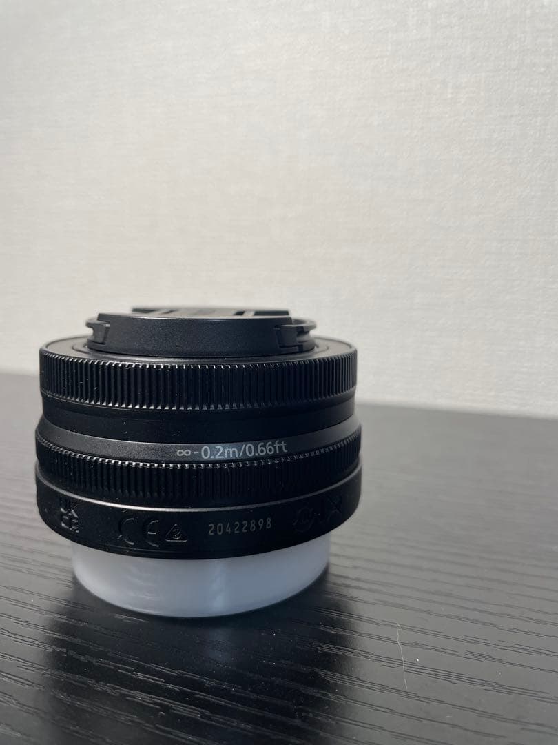 Nikon DX 16-50mmとDX 50-250mm レンズ