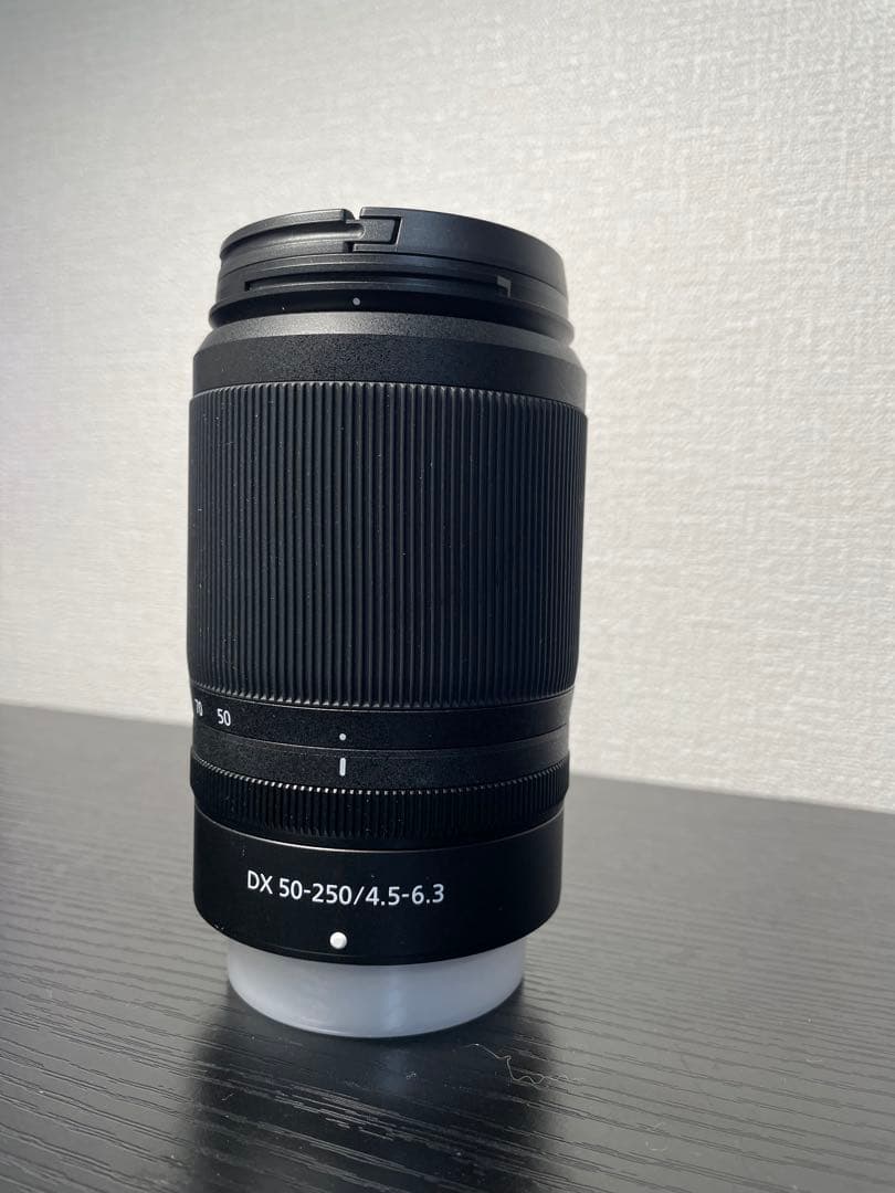Nikon DX 16-50mmとDX 50-250mm レンズ