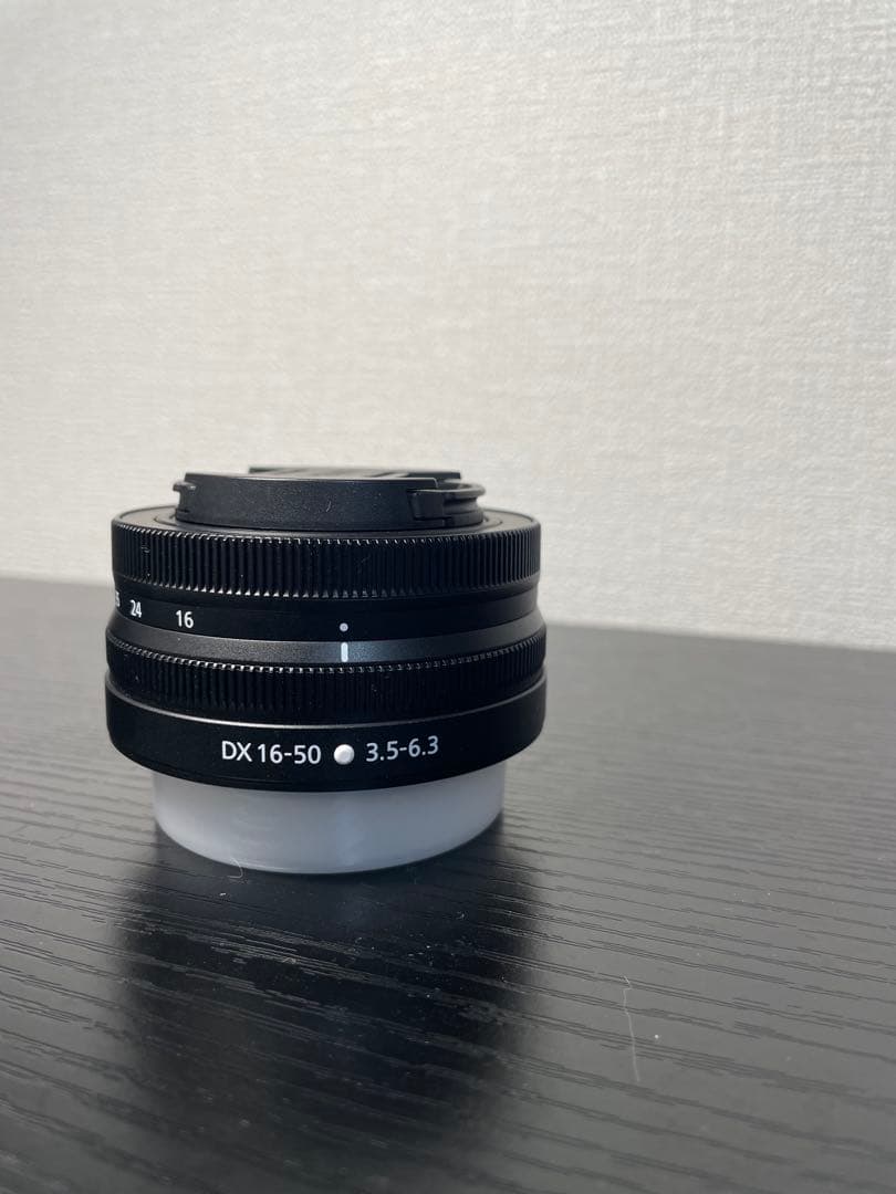 Nikon DX 16-50mmとDX 50-250mm レンズ
