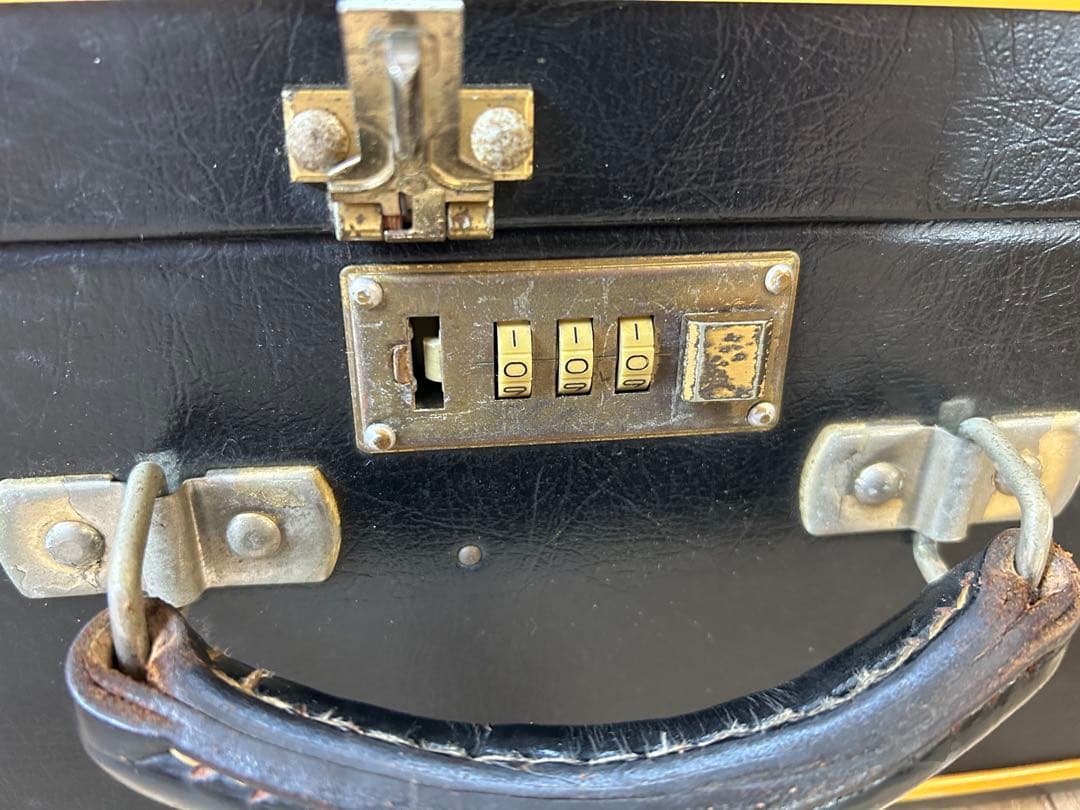 ♦︎①落合忠男 マンドリン 1990 ハードケース付