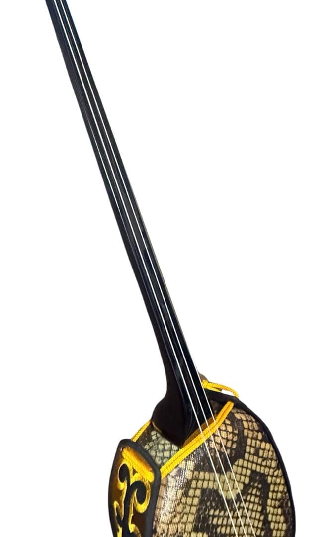 【極美品】沖縄三線　三線　人工皮　ケース付き　初心者　入門セット