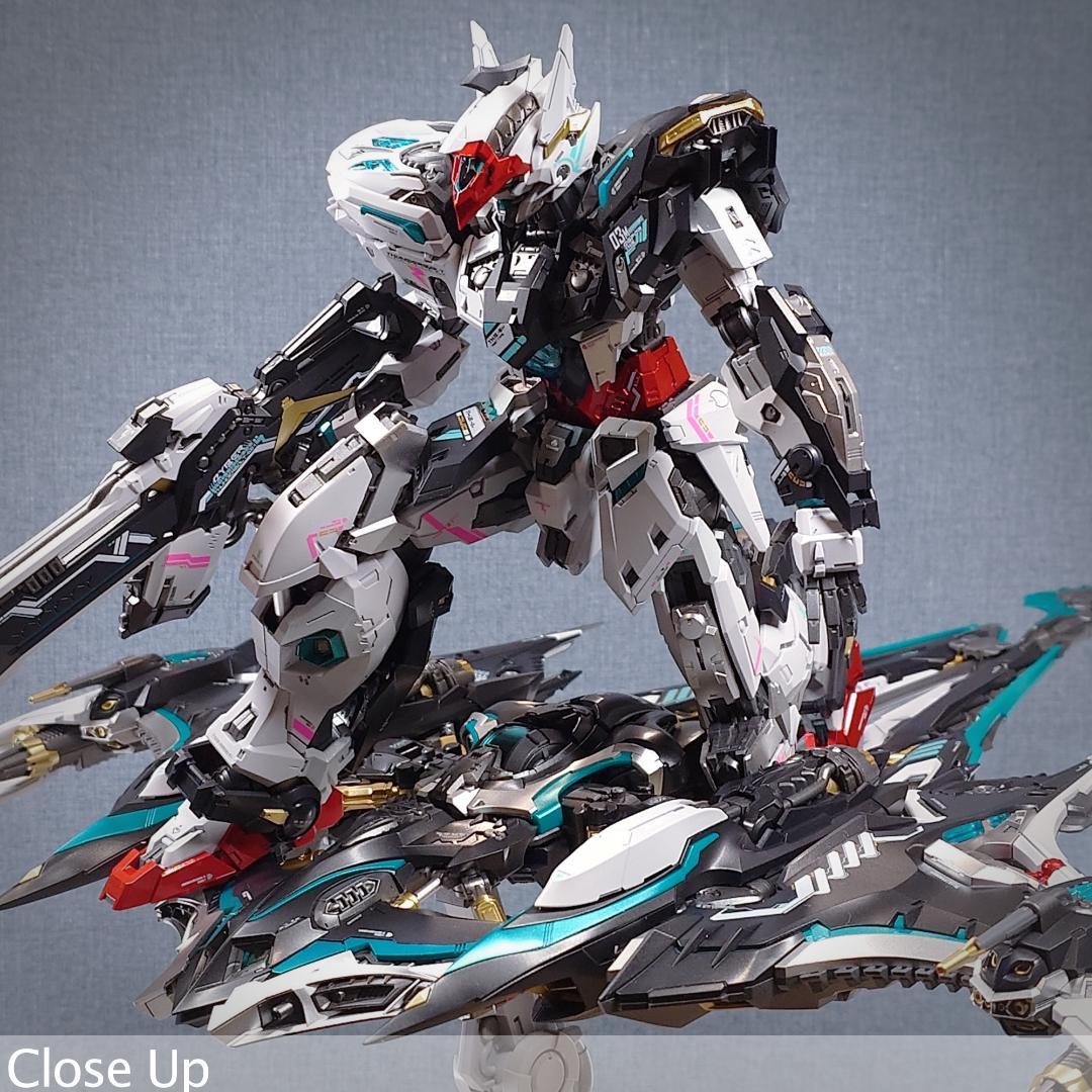 THUNDERBOLT DEVILFISH 1/100 IN ERA+ 完成品