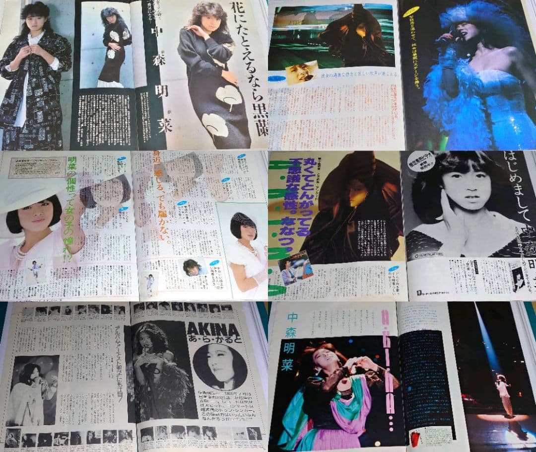 中森明菜 1982年〜1987年 レア　大量　切り抜き　ファイル　2冊　120P