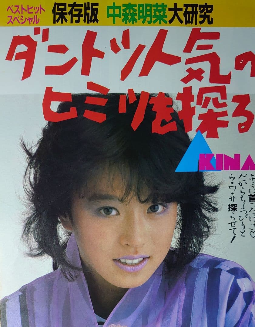 中森明菜 1982年〜1987年 レア　大量　切り抜き　ファイル　2冊　120P