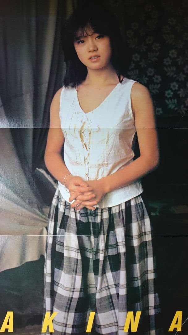中森明菜 1982年〜1987年 レア　大量　切り抜き　ファイル　2冊　120P