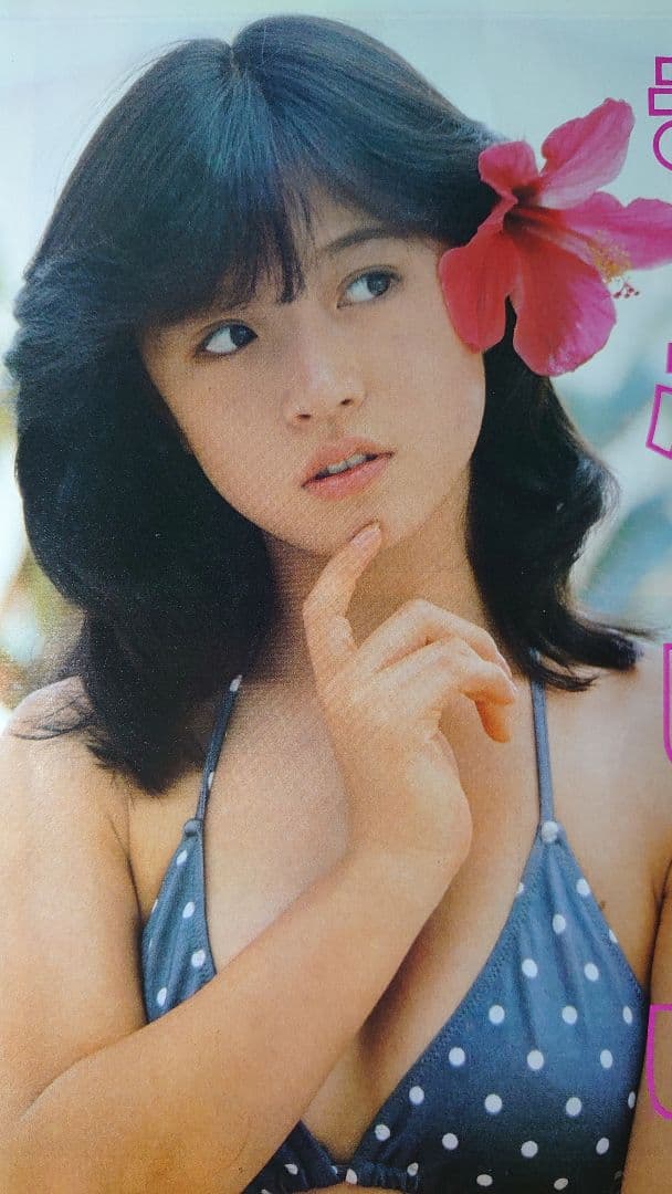 中森明菜 1982年〜1987年 レア　大量　切り抜き　ファイル　2冊　120P