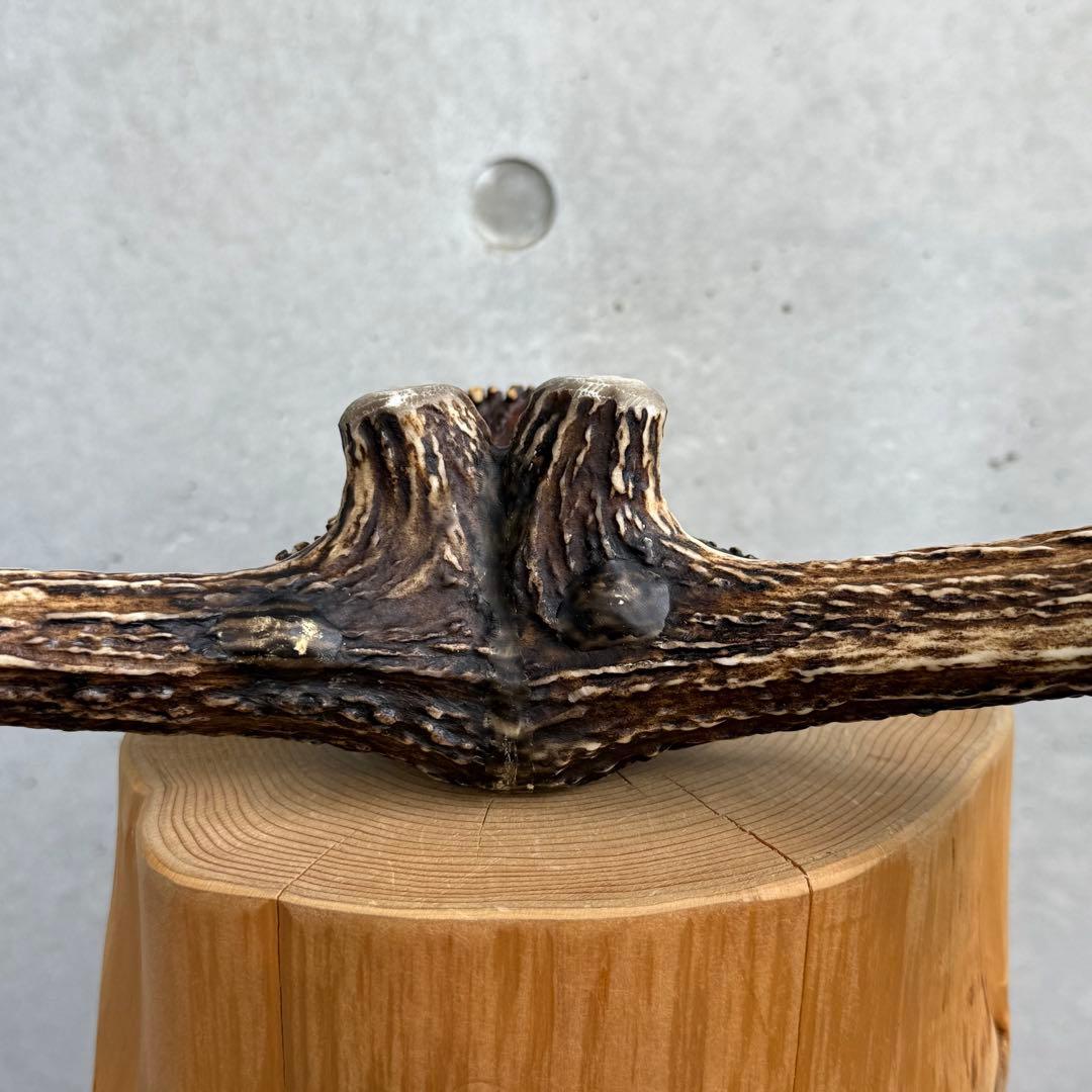 DEER HORN SMITH'S ディアホーンスミス 鹿の角ハンガー