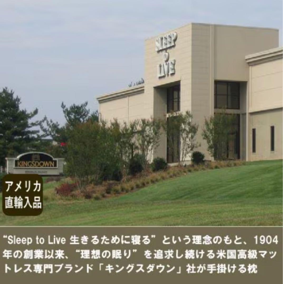 大塚家具　枕「アダプティブピロー」 ロータイプ(高さ6㎝)