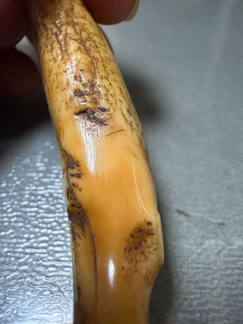 熊牙　　根付　置物　美術品 100年物 骨董品