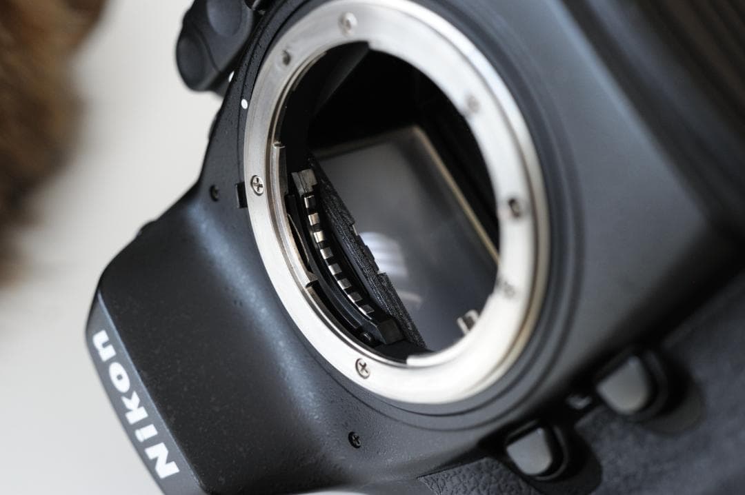 Nikon D800 美品 42000枚