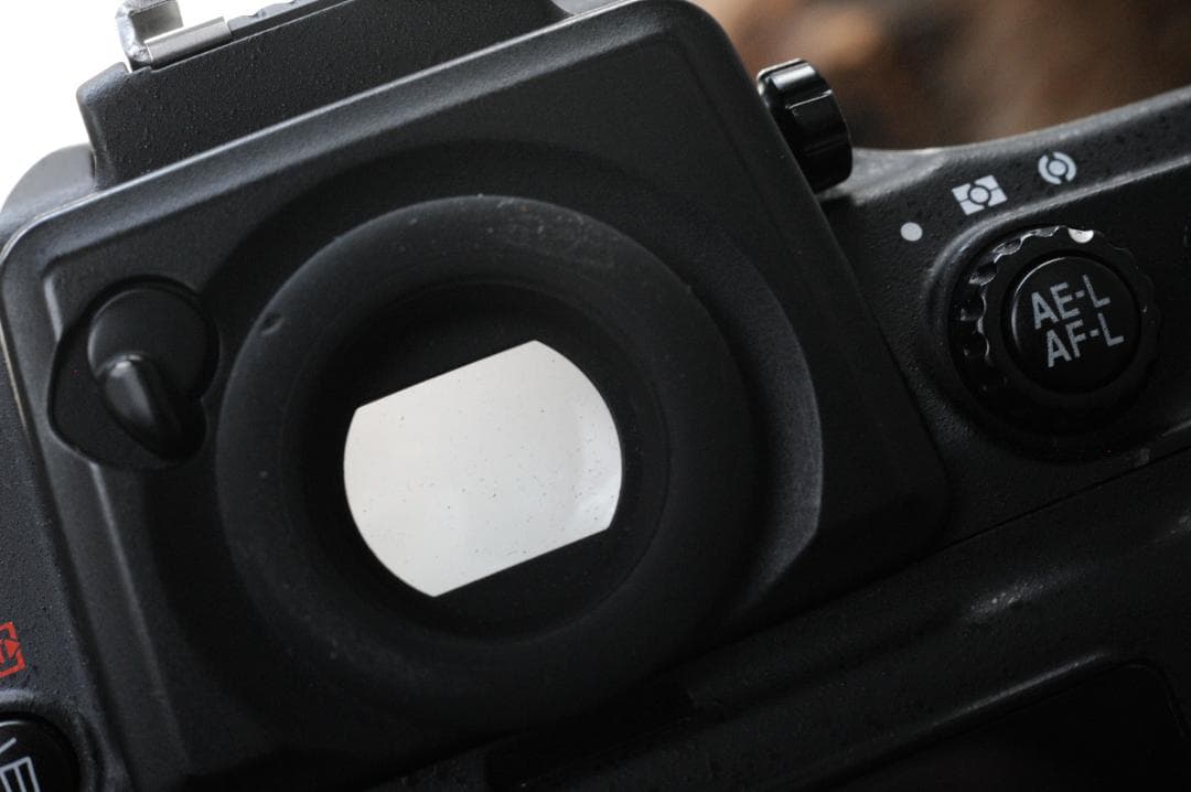 Nikon D800 美品 42000枚