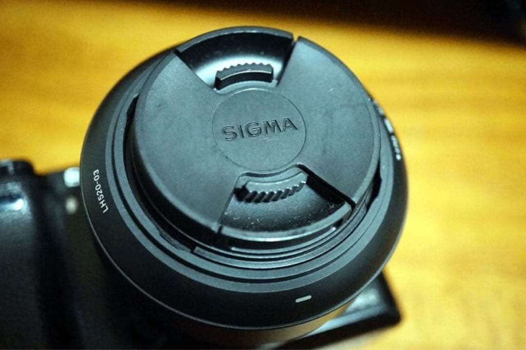 ロ*ズ様 SIGMA 19mm F2.8 DN SONY E 2014年11月1