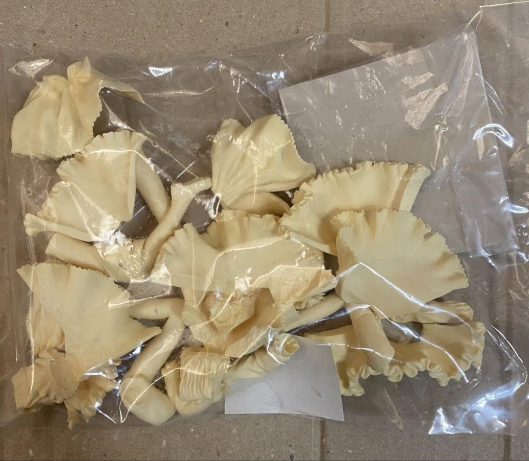 夢のカグツチノ公国 リトルウィッチ ロマネスク アリア カヤ ガレージキット