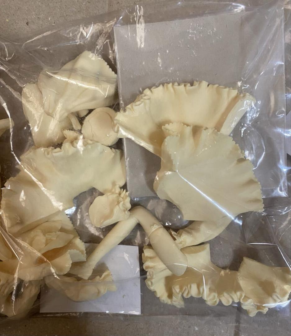 夢のカグツチノ公国 リトルウィッチ ロマネスク アリア カヤ ガレージキット