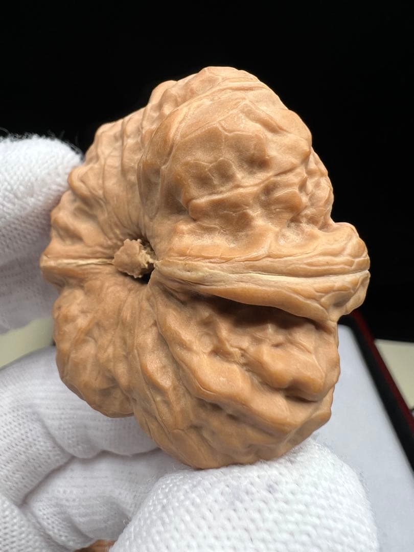 文玩堂：延庆蝦蟇頭蟾王（46mm）2日間限定のお買い得セール！