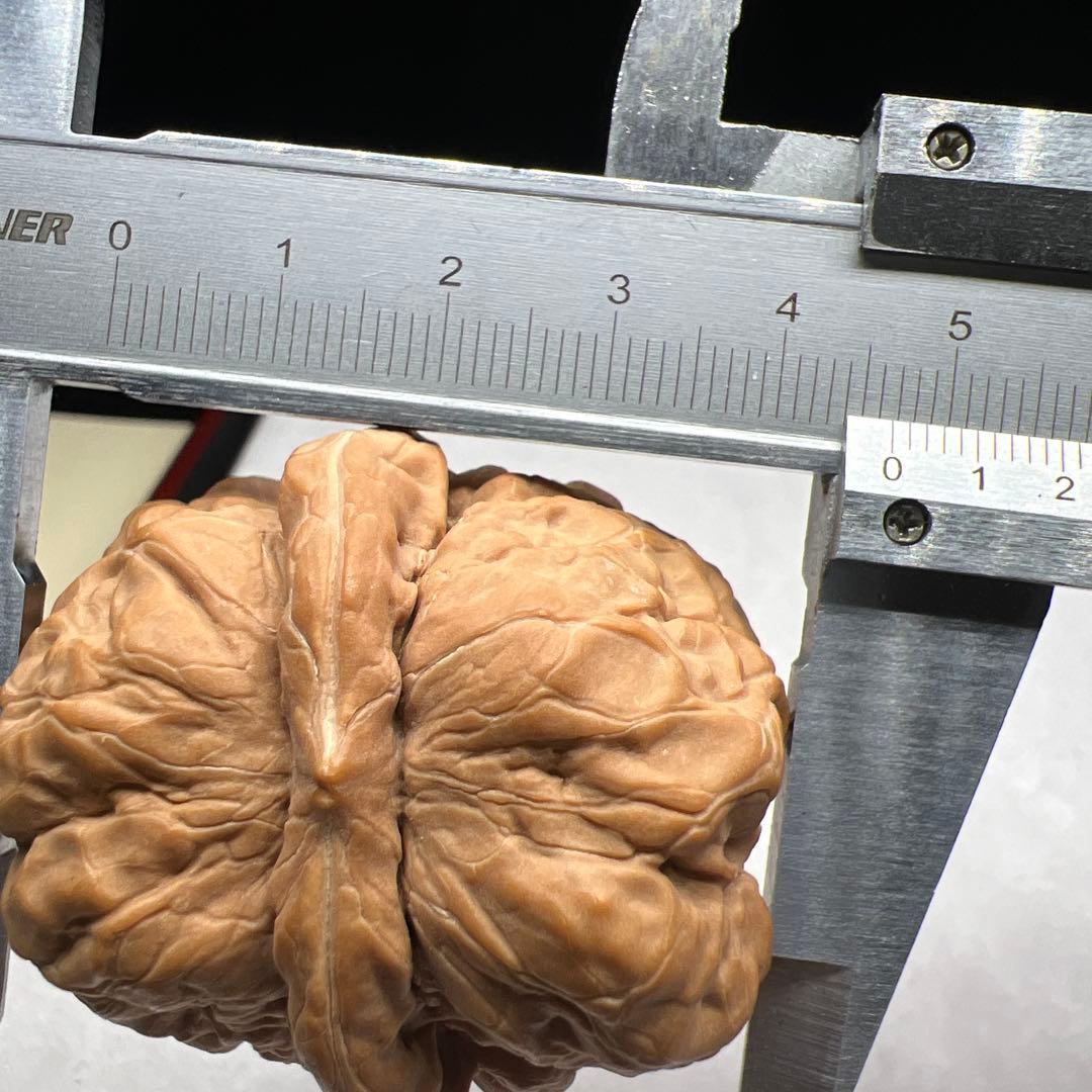 文玩堂：延庆蝦蟇頭蟾王（46mm）2日間限定のお買い得セール！