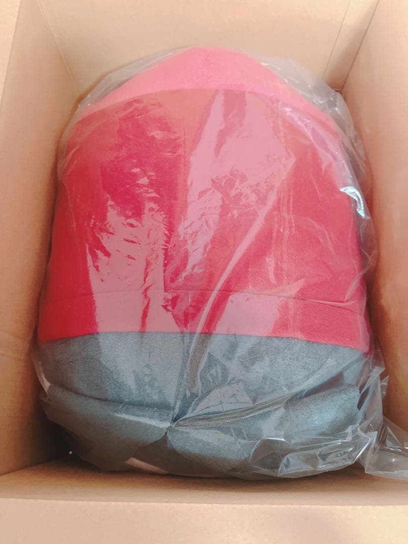 【逆転検事】 御剣怜侍 S賞 BIGカプころん ぬいぐるみ セット