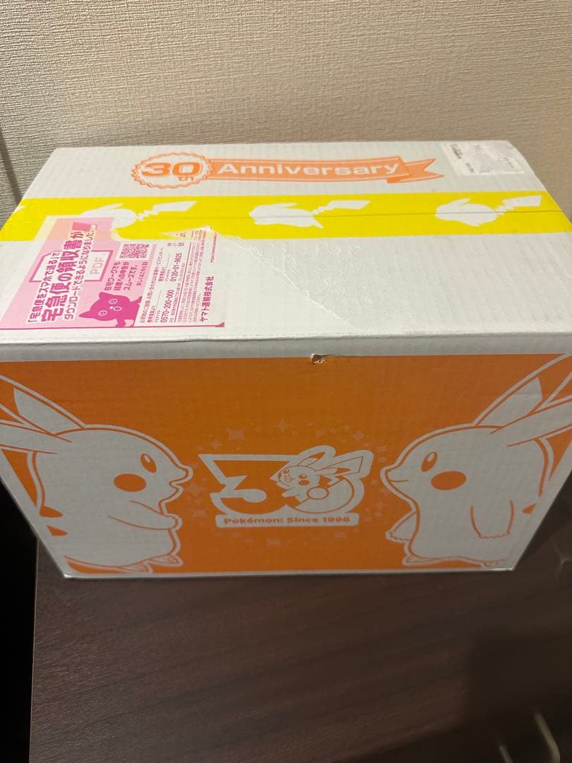 【未開封お誕生日箱】はじまりのピカチュウセット&うすいろぴかちゅうぬいぐるみ