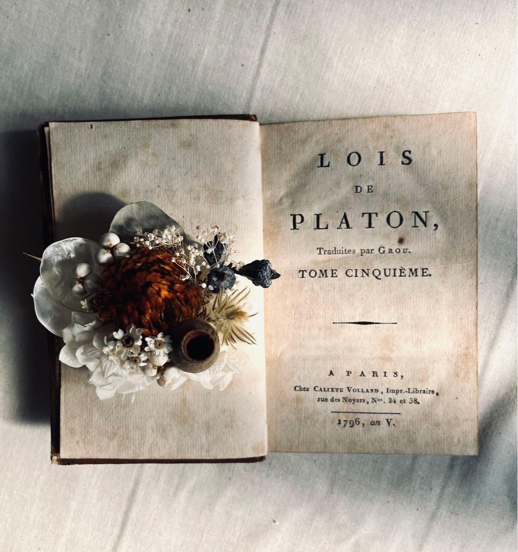 フラワー・ガーデニング corsage no.769