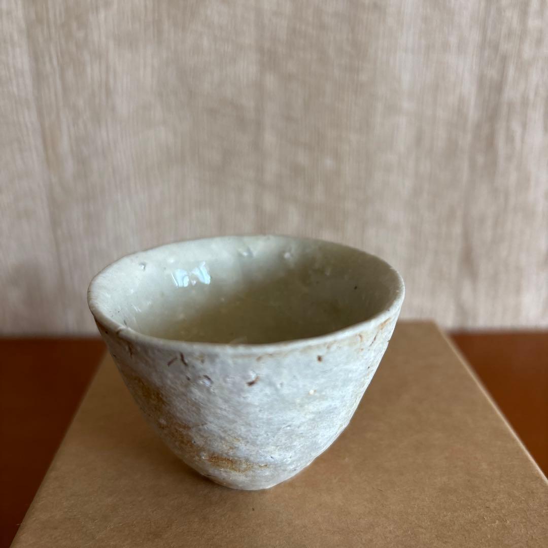 内田鋼一氏作 加彩盃