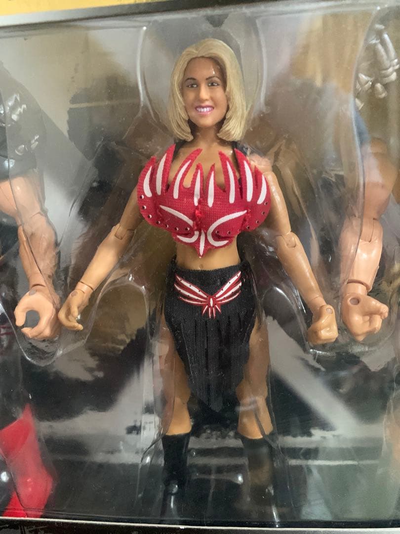 リングサイド LEGION OF DOOM ザ・ロード オブ ウォリアーズ