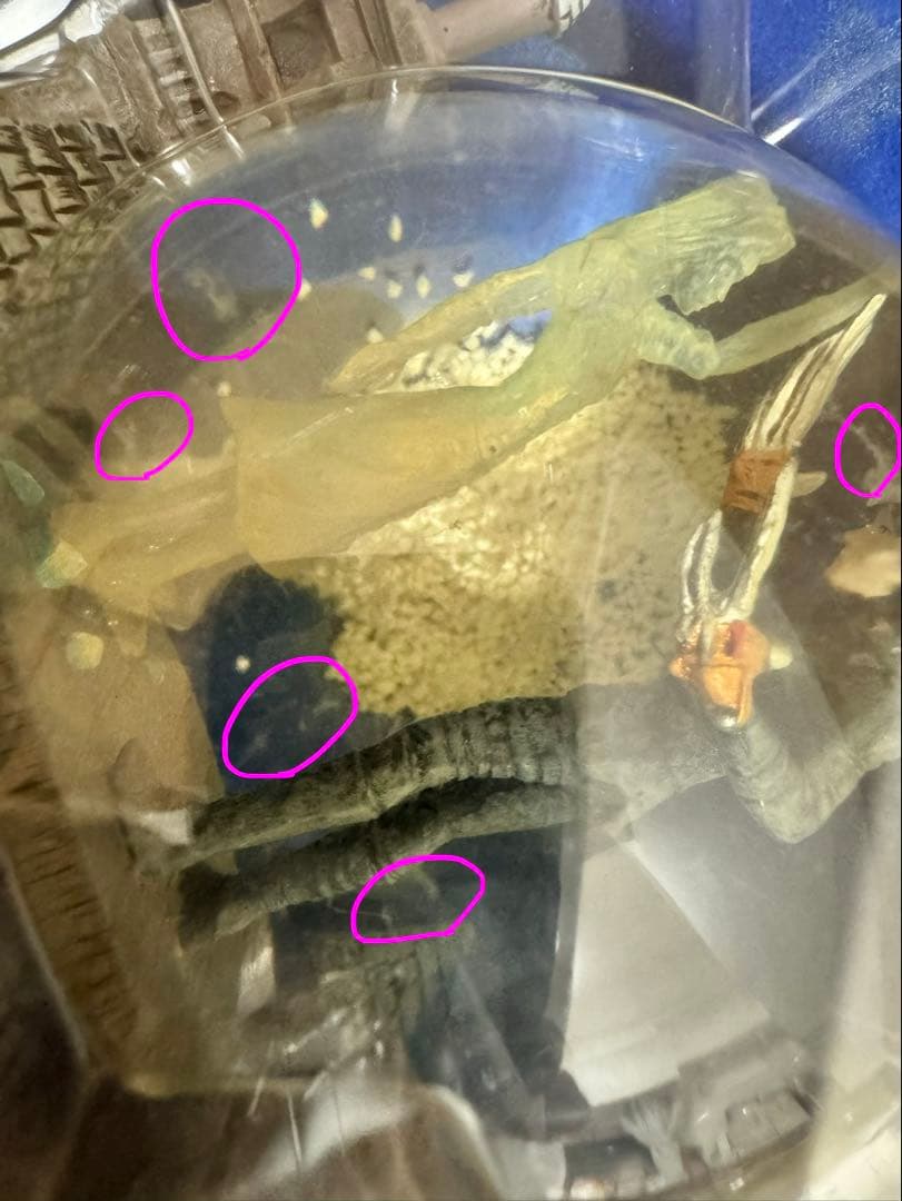 シザーハンズ　アニバーサリーBOX 新品未使用