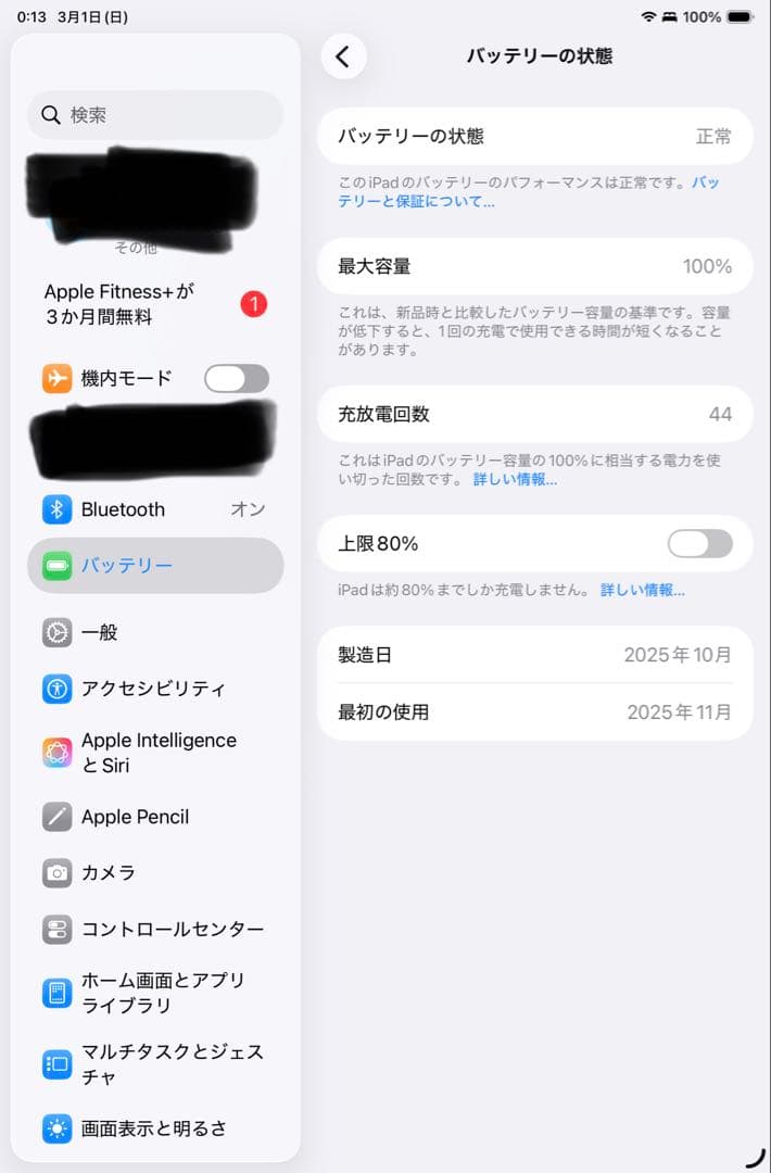 iPad本体 iPadmini 7