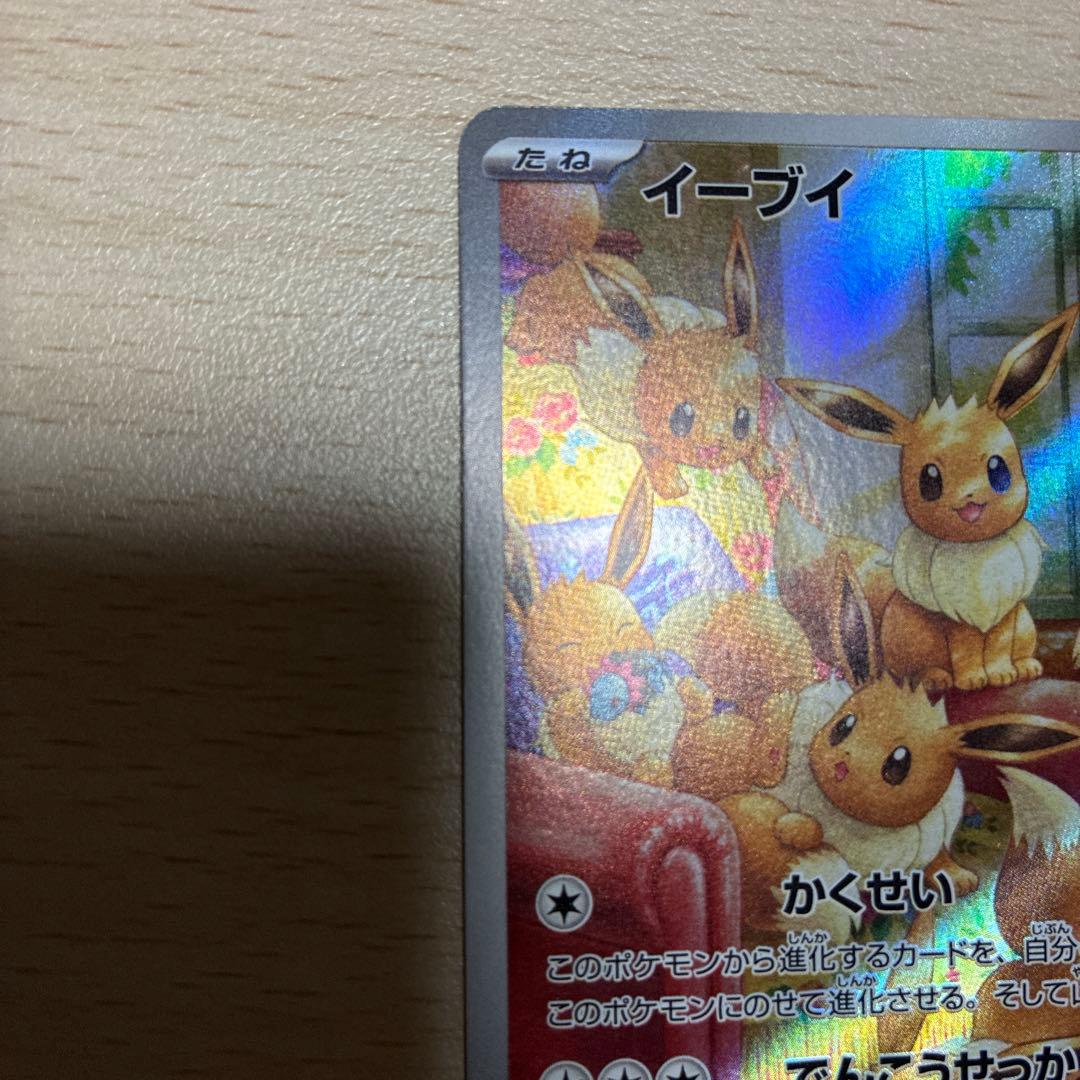 て*ト様 ロケット団のミュウツー　イーブイ　シロナの覇気　ヒビキのバクフーン　ソ