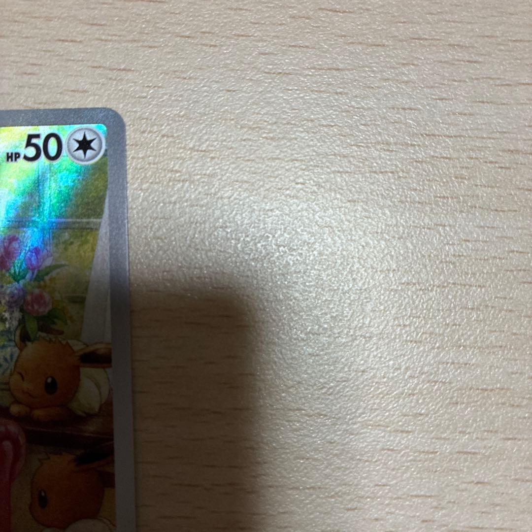 て*ト様 ロケット団のミュウツー　イーブイ　シロナの覇気　ヒビキのバクフーン　ソ