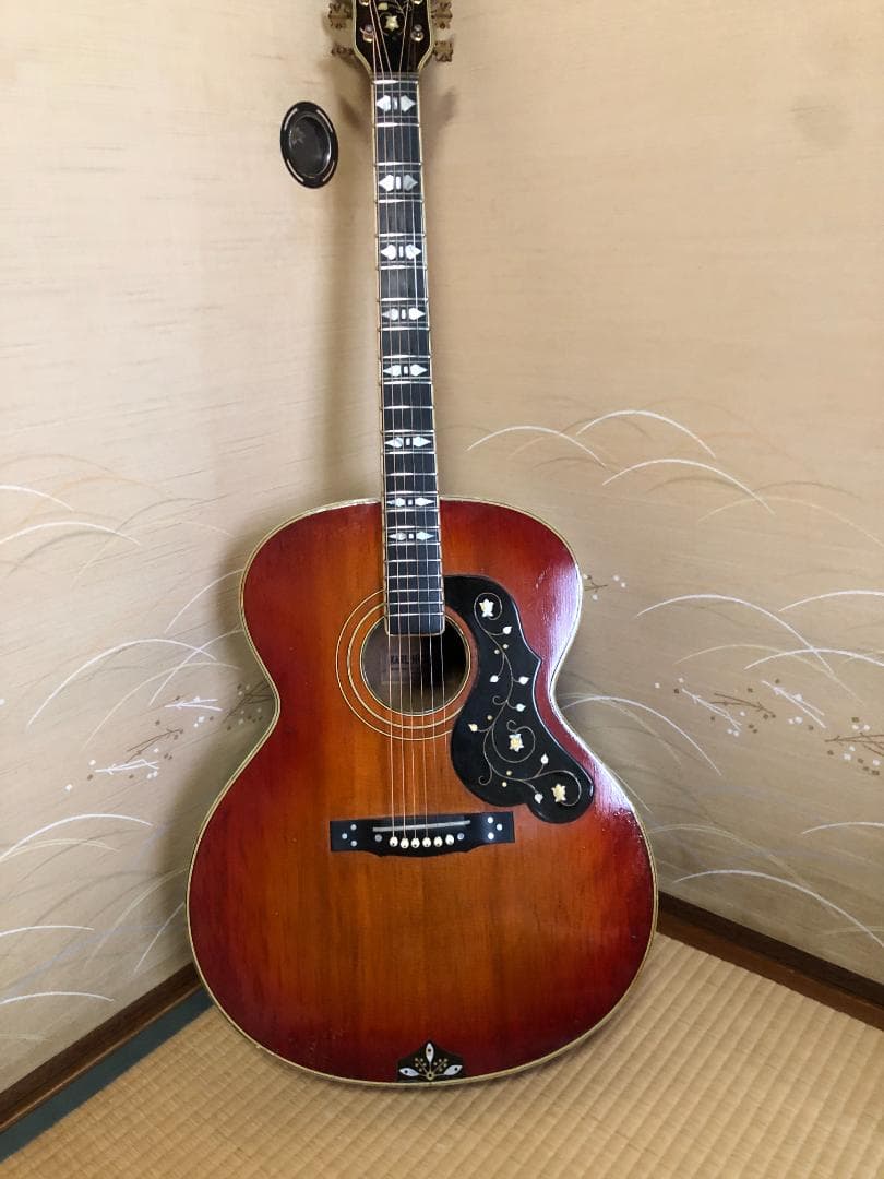 激レア 希少 カールヘフナー　496　アコギ ヴィンテージ