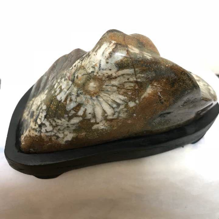 菊花石 ✴︎ 岐阜根尾産 536グラム 台座付き