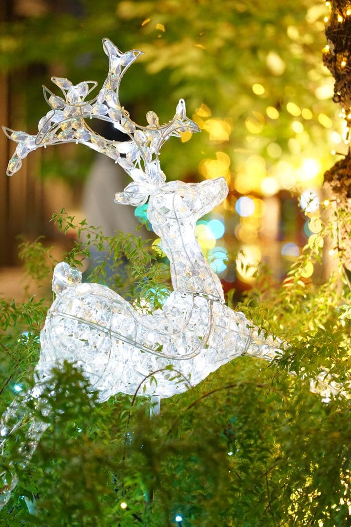 <美品>SONY FE 70-200mm F4 G OSS SEL70200G